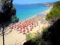 Makris Gialos Beach Makris Gialos Beach in Lassi Kefalonia